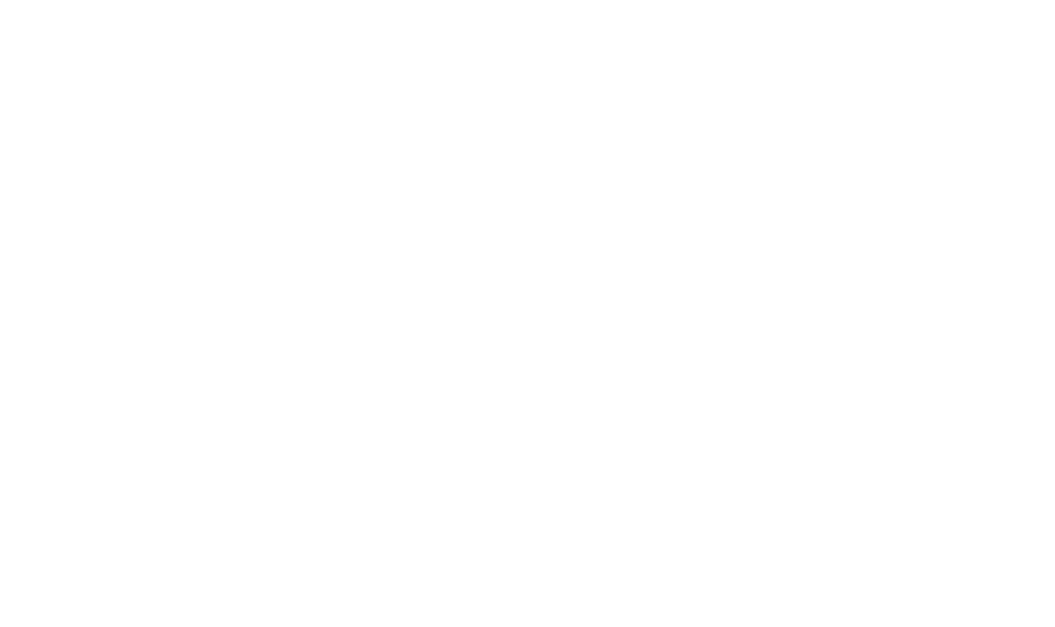 Logobranco-RR-Solução-Empresarial-Centro-de-São-Paulo-sp